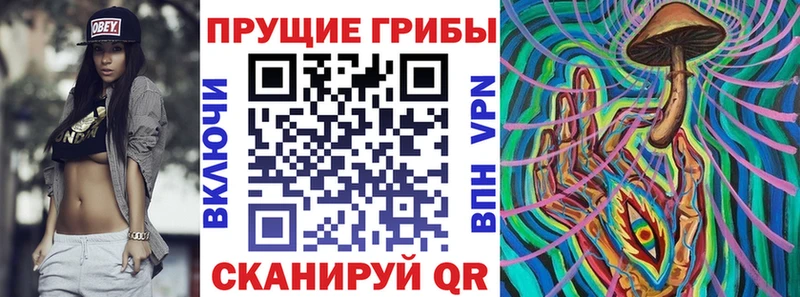 где можно купить   Бронницы  Галлюциногенные грибы Psilocybe 